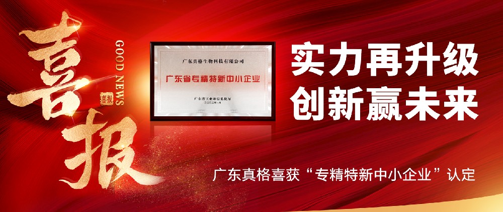 實力再升級，創新贏未來！ ——廣東真格喜獲“專精特新中小企業”認定